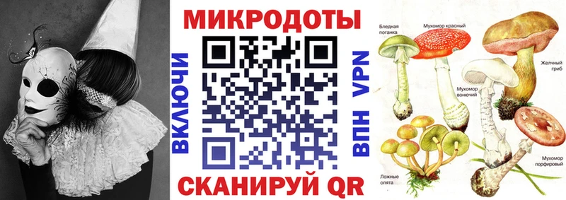 ОМГ ОМГ зеркало  Кировград  Псилоцибиновые грибы прущие грибы  закладки 